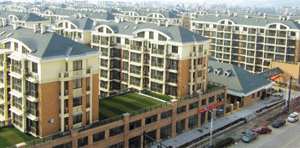 Special putty for mill finish of outer wall