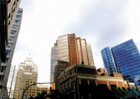 Solvent special putty